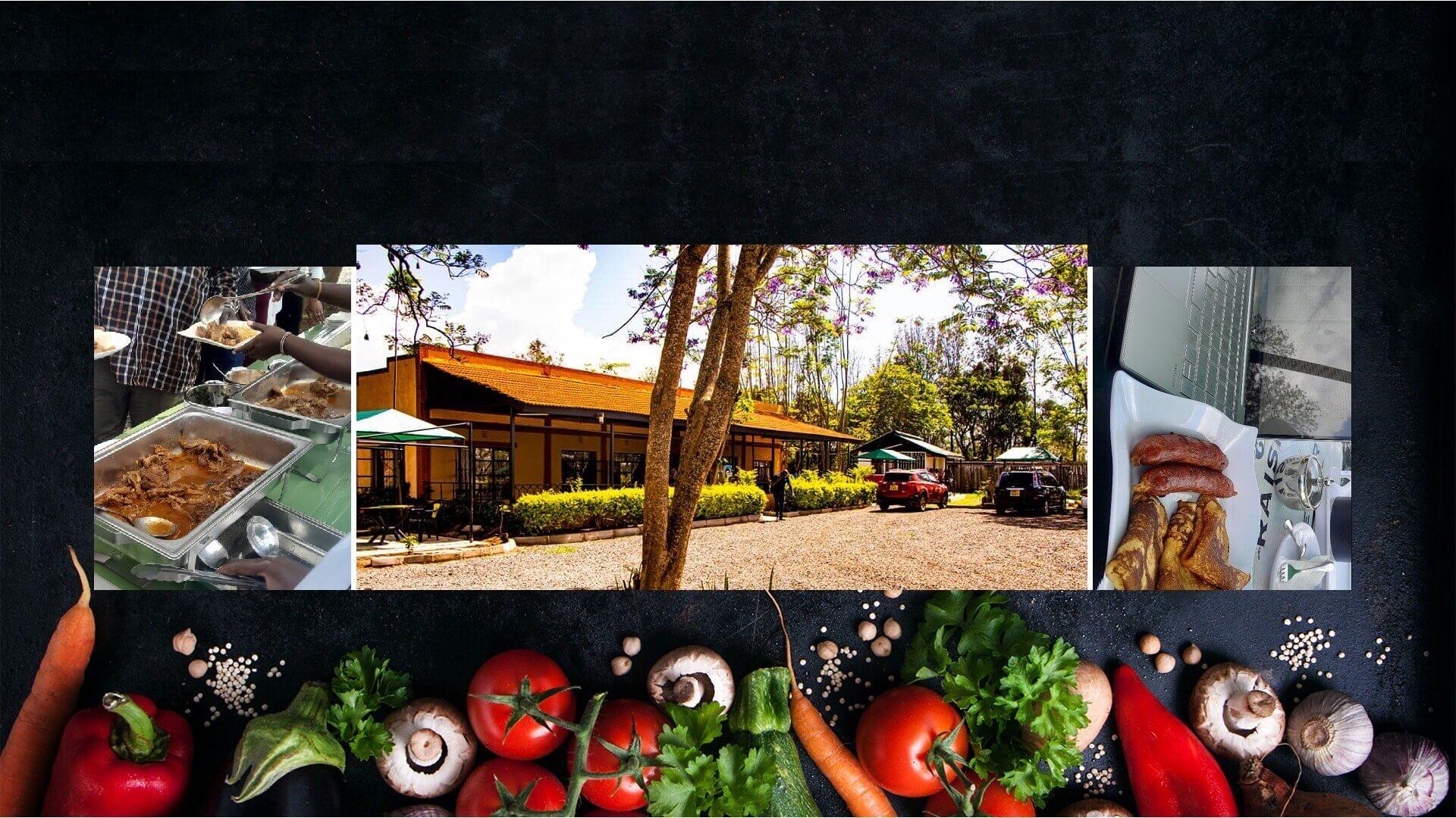 Bonsai Home Page
